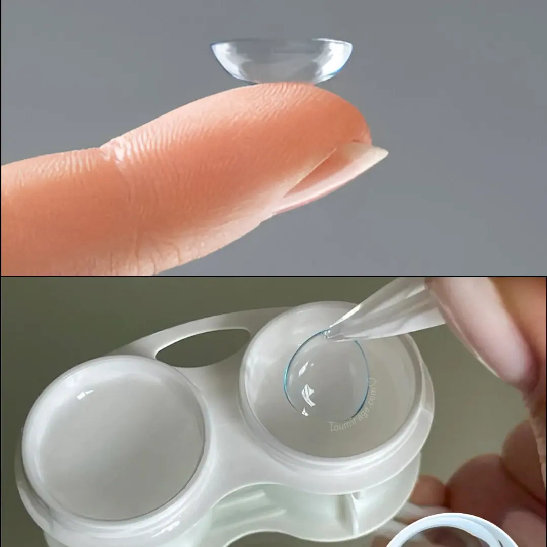 Contact Lens